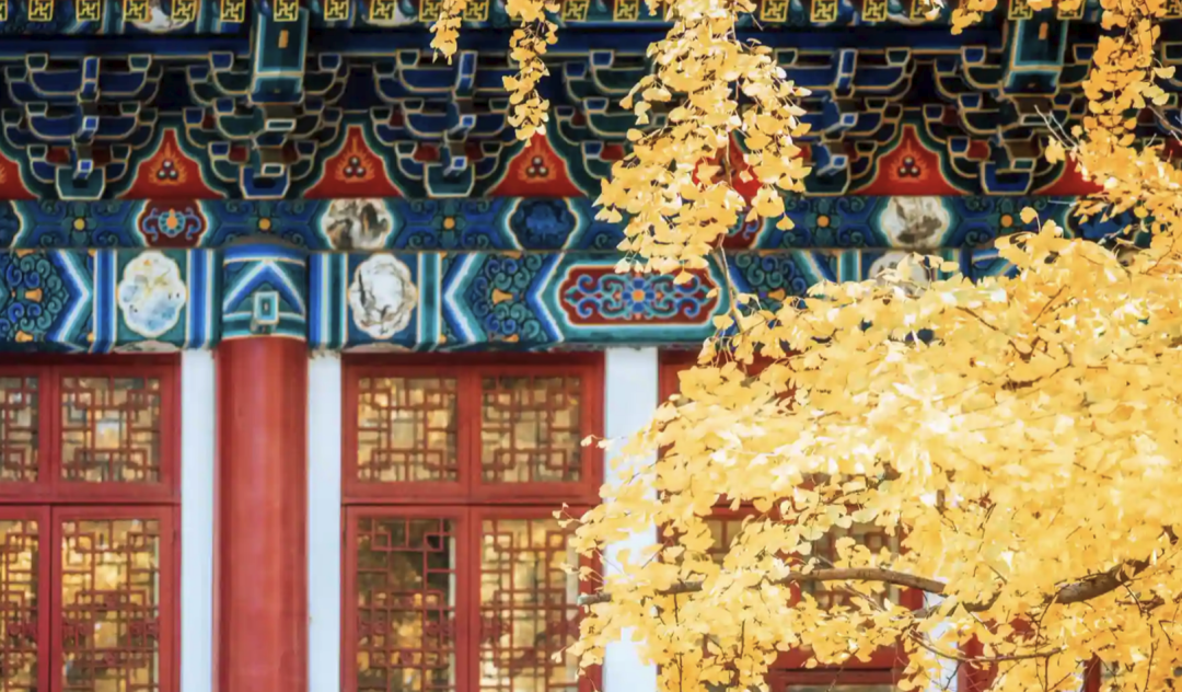 北京大学历史研修班（第17期）｜历史研修｜开课时间：2026年9月19日｜学费：6.8万元/人